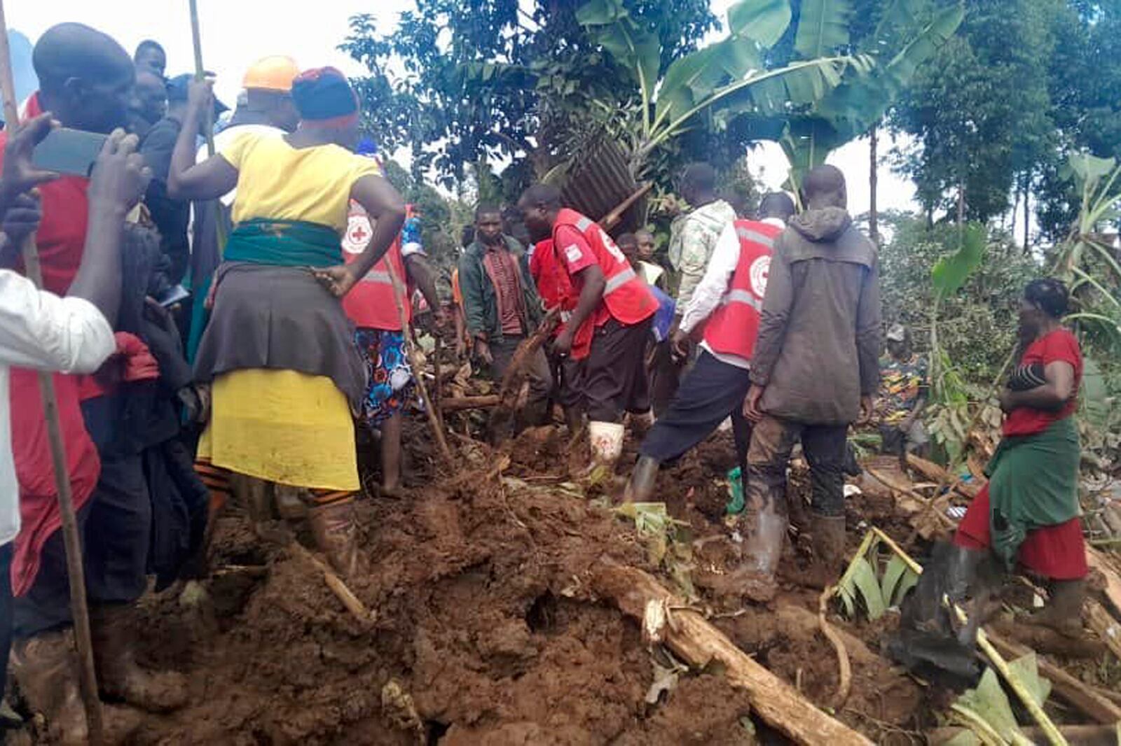 Uganda Red Cross workers search for bodies after a landslide following heavy rains buried 40 homes in the mountainous district of Bulambuli, eastern Uganda, Thursday, Nov. 28. 2024. (AP Photo/Irene Nakasiita)