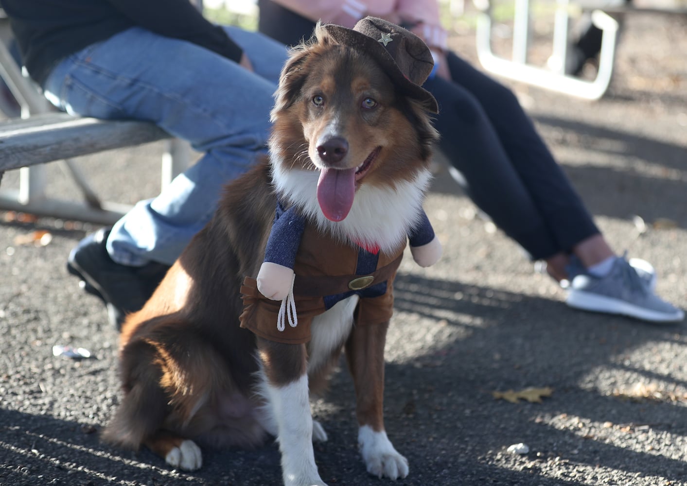 PHOTOS:  Yappy Howl-O-Ween