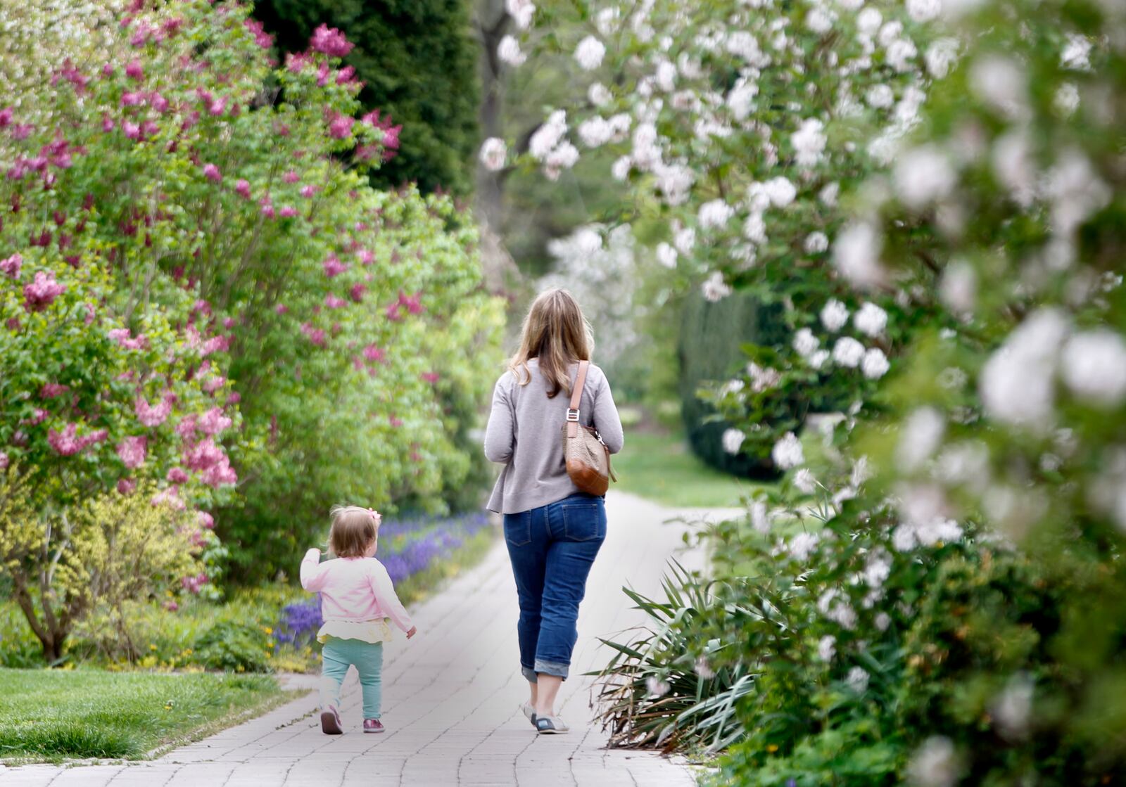 Blooming plants and trees at Wegerzyn Gardens MetroPark in Dayton create a frame of color around Sarah Hibner of Dayton and her one-year-old daughter Isabelle as they take a walk through the park Monday. According to Storm Center 7 meteorologist Rich Wirdzek the next couple of days will be in the high 70's.  LISA POWELL / STAFF