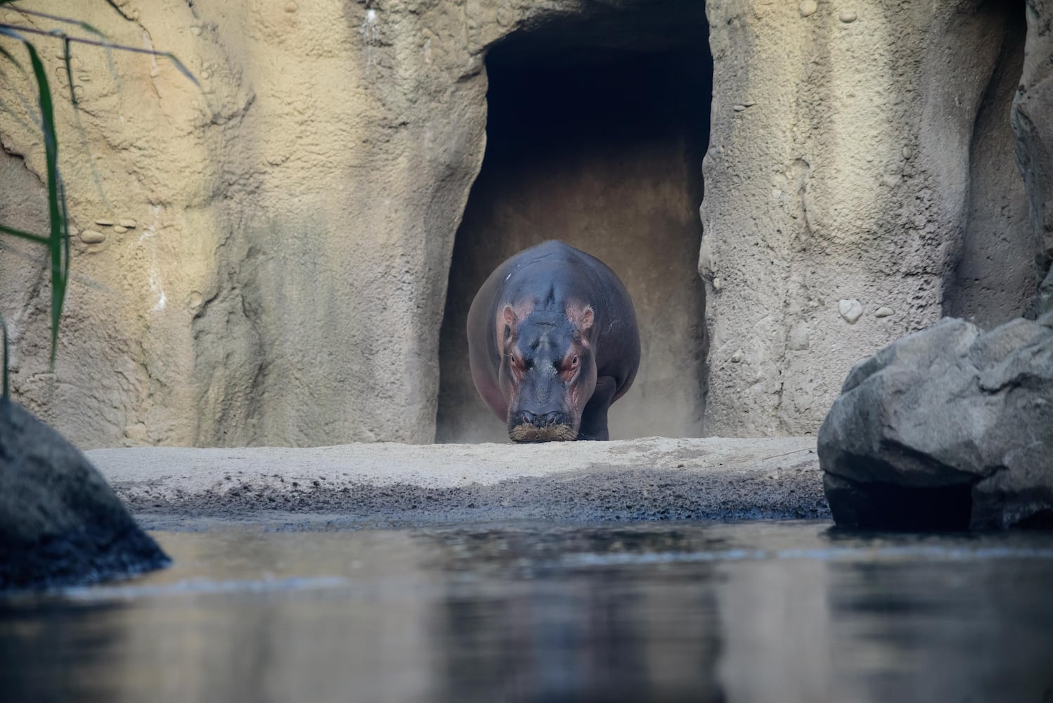 BEHIND THE SCENES: Take a look at what Fiona and Bibi are up to after hours