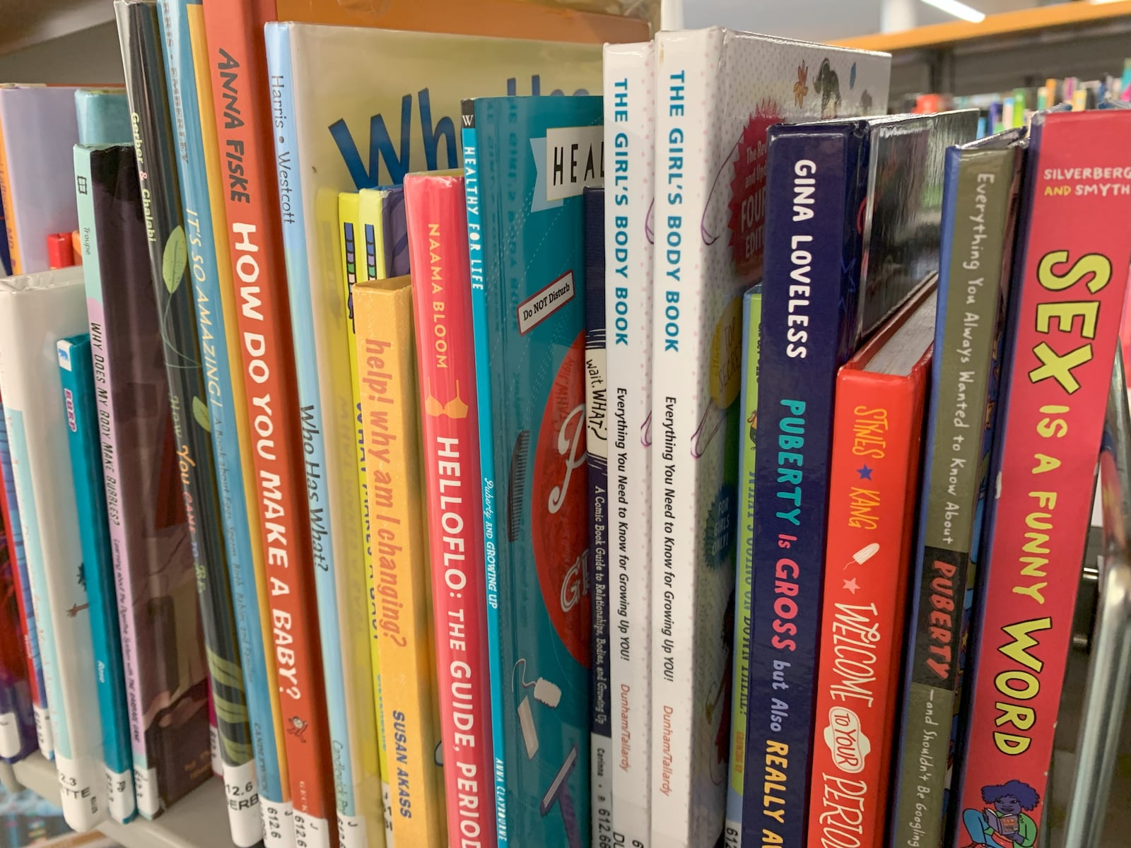 Sex education material for children at the Dayton Metro Library