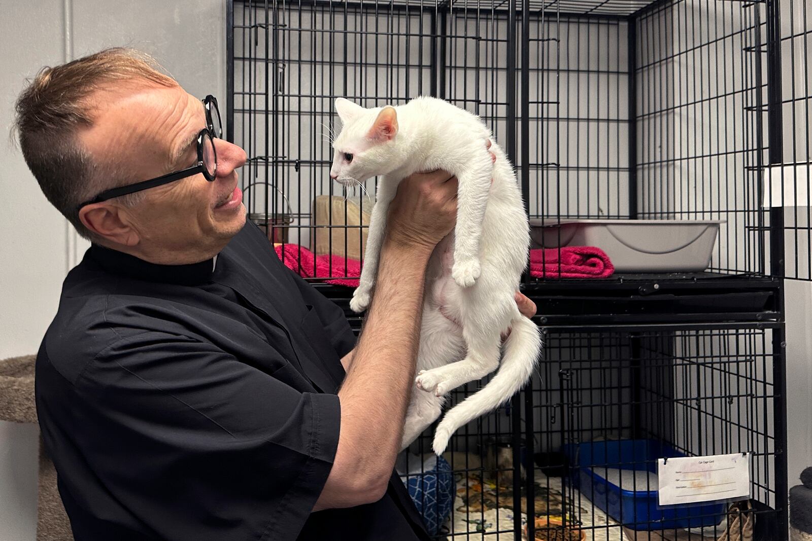 Rev. Jim Sichko holds a cat at the Paws 4 The Cause animal shelter in Lexington, Ky., on Friday, Jan. 31, 2025. (AP Photo/Dylan Lovan)