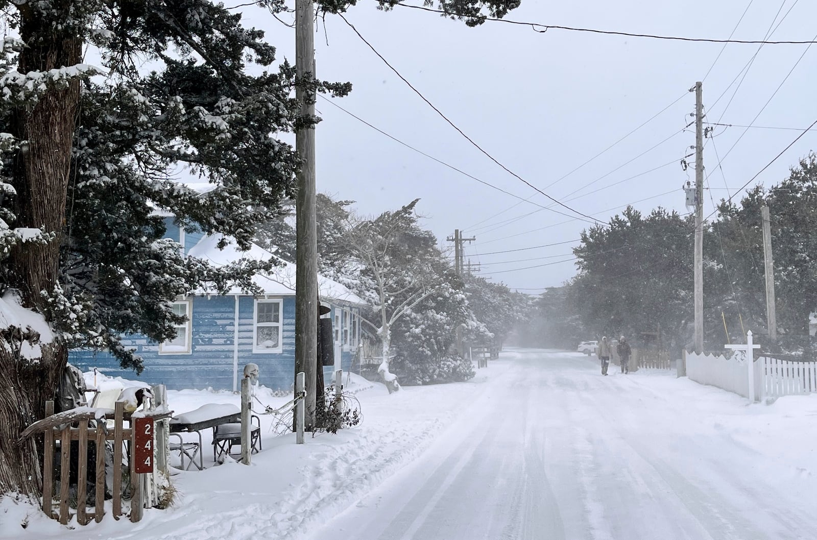 Snow covers Lighthouse Road on Wednesday, Jan. 22, 2025 in Ocracoke, N.C. (Connie Leinbach/Ocracoke Observer via AP)