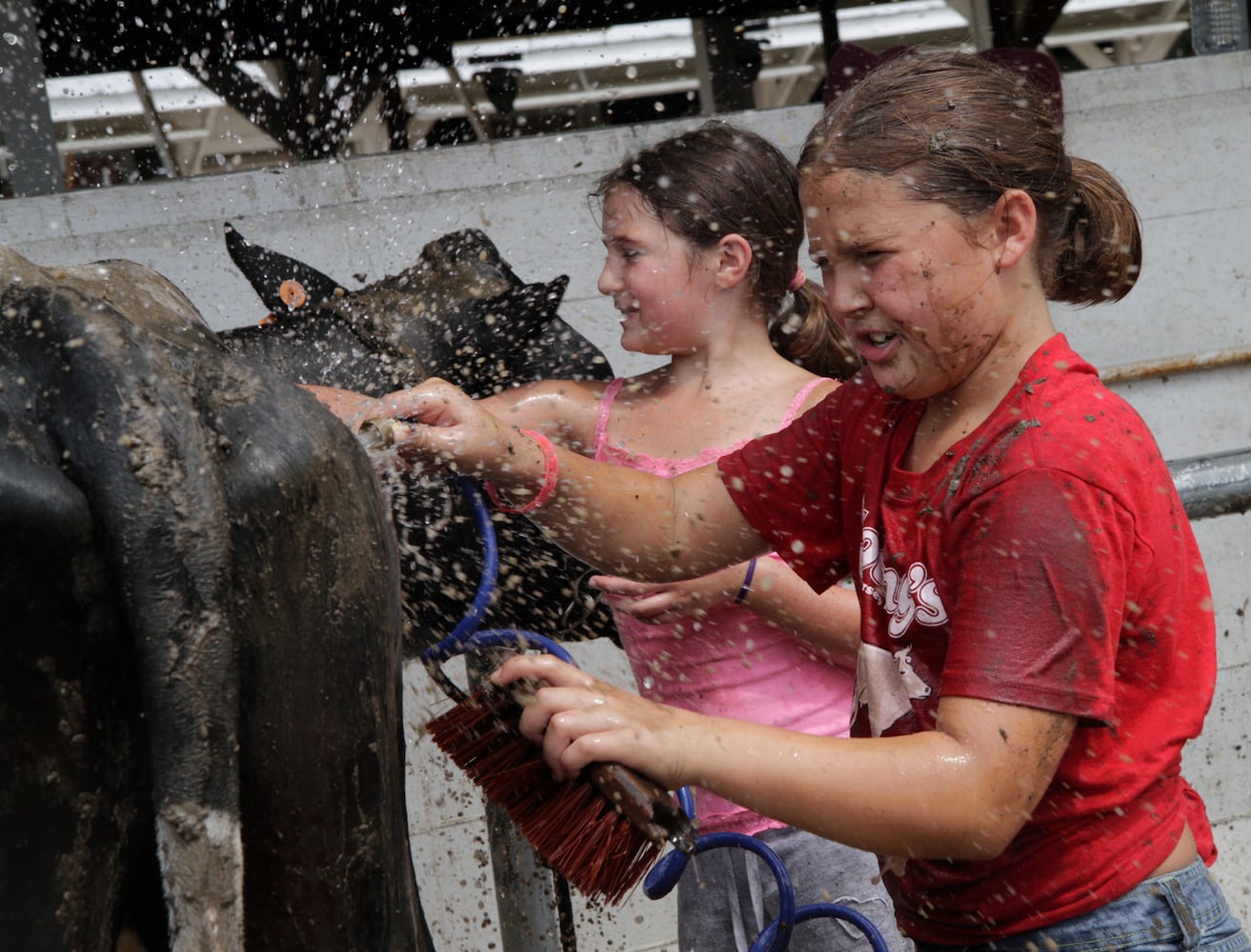 Clark County Fair