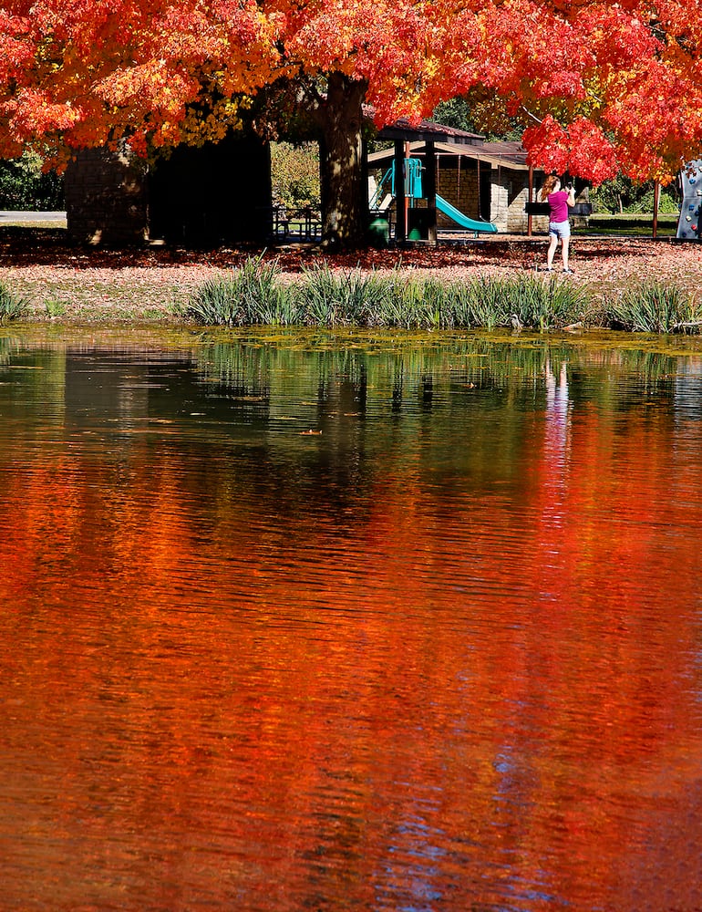 Fall Colors SNS