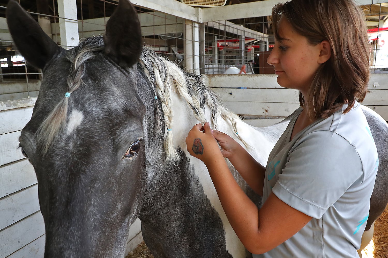 PHOTOS: 2019 Champaign County Fair Opens