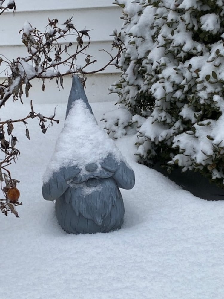 Kettering garden gnome