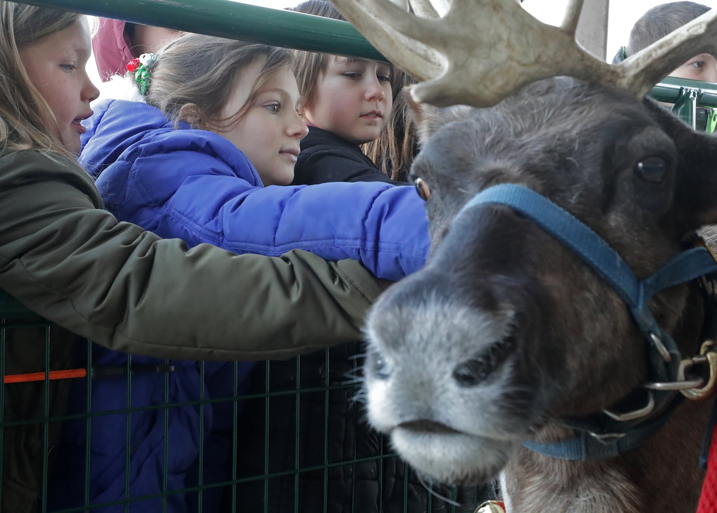 PHOTOS: Reindeers Visit South Vienna School