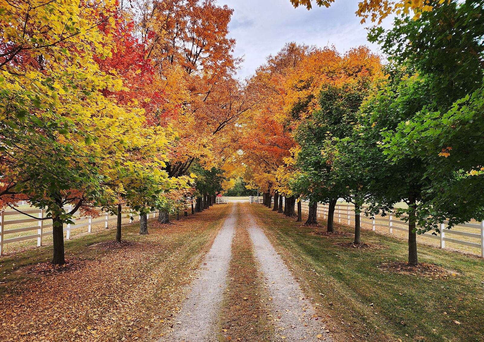 Butler County has been beautiful during the changing of the leaf colors this fall. See more photos like this one by Photojournalist Nick Graham at journal-news.com. We are thankful for your readership.