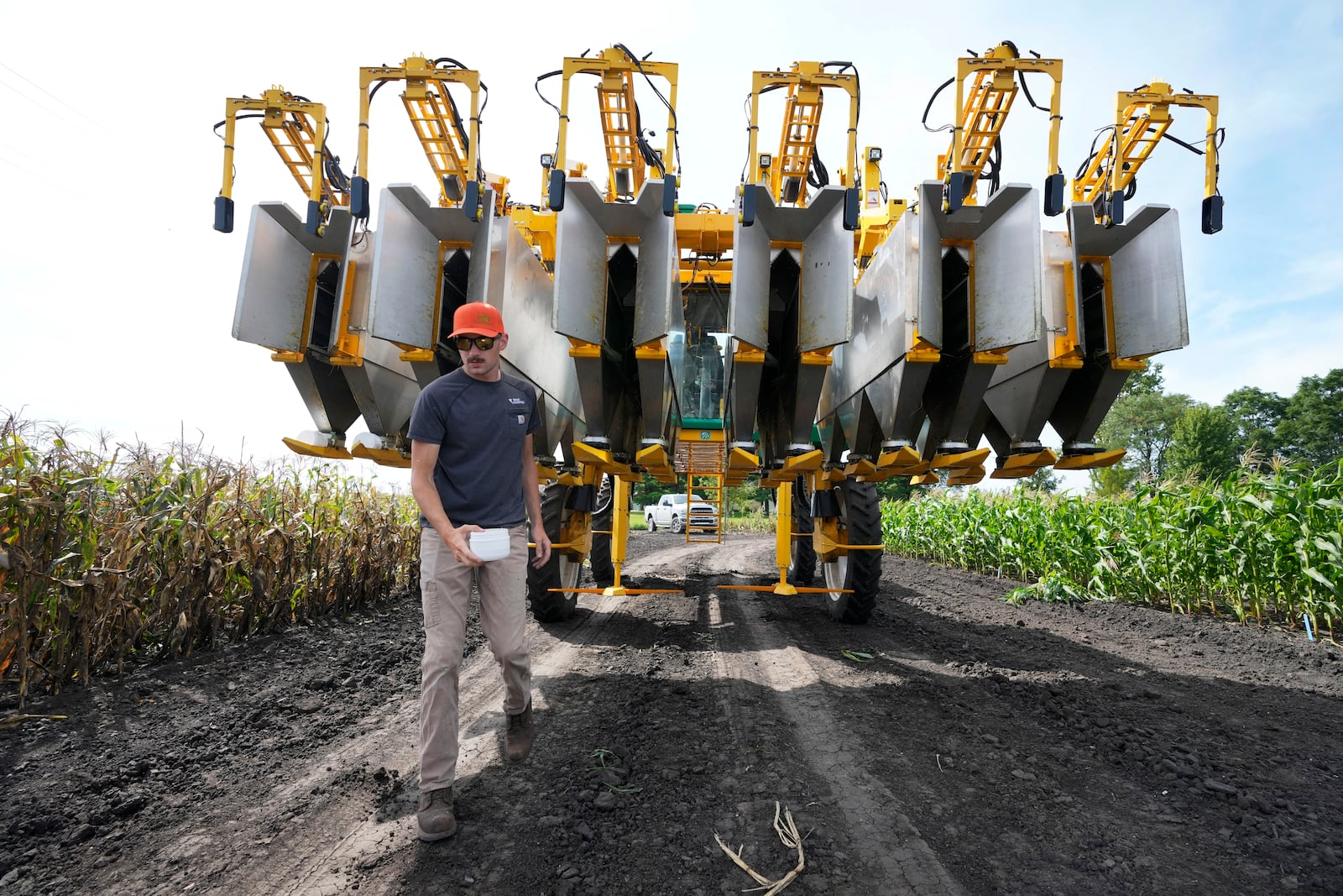 PowerPollen intern Evan Mark removes pollen from a collector after it was driven through a cornfield, Thursday, Aug. 22, 2024, near Ames, Iowa. (AP Photo/Charlie Neibergall)