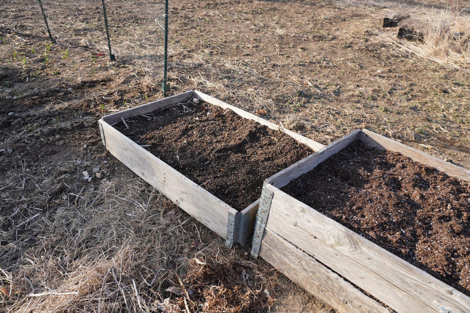 The soil in raised gardens dries out quicker and can be planted earlier in the spring. CONTRIBUTED