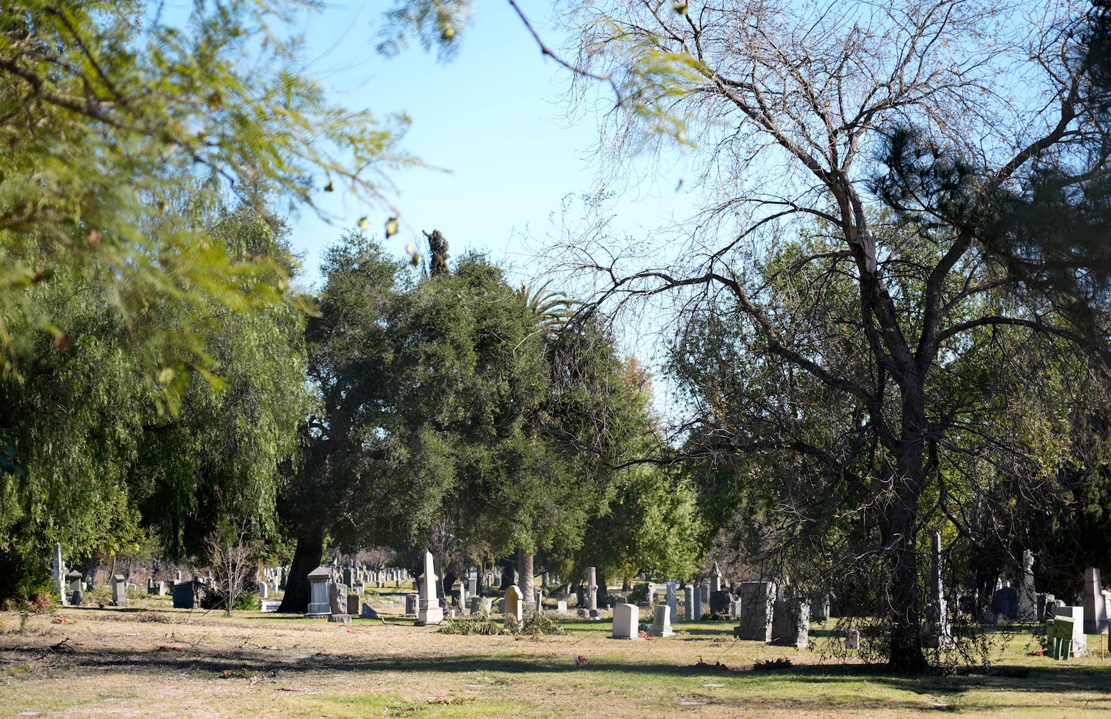 Grave stones at the closed Mountain View Cemetery are pictured through a surrounding fence, Tuesday, Jan. 14, 2025, in Altadena, Calif. (AP Photo/Chris Pizzello)