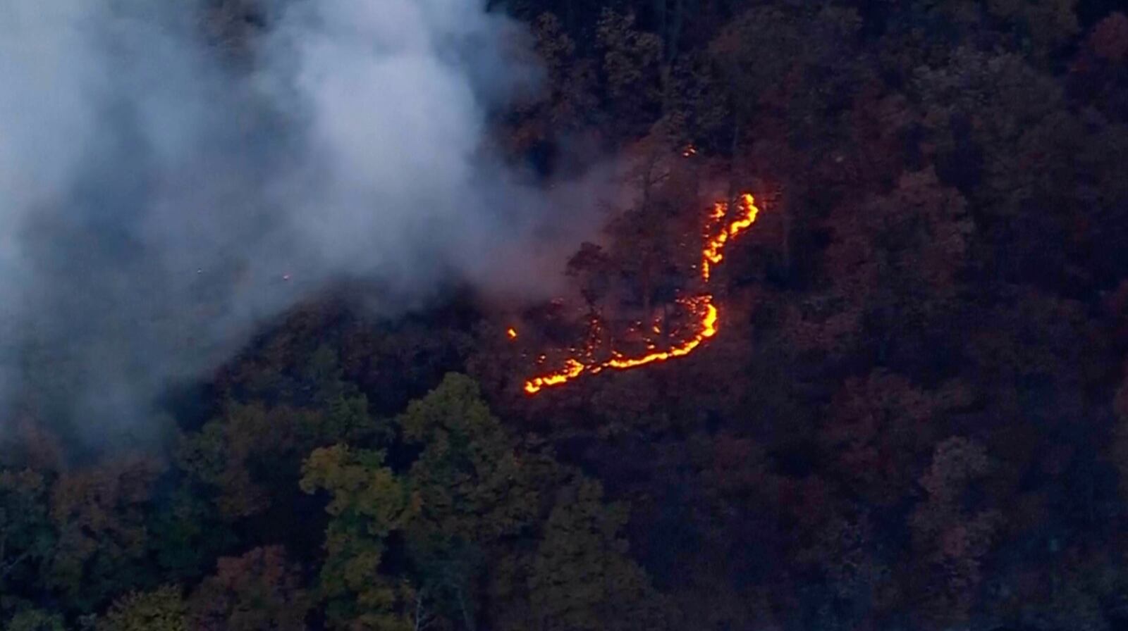 This aerial image taken from video shows a brush fire that broke out in a park on the northern tip of Manhattan in Inwood, N.Y., Wednesday, Nov. 13, 2024. (WABC-TV via AP)