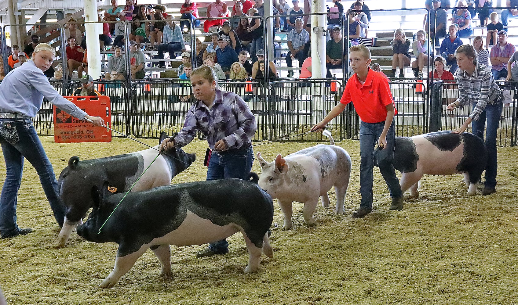 2018 Clark County Fair Day 4