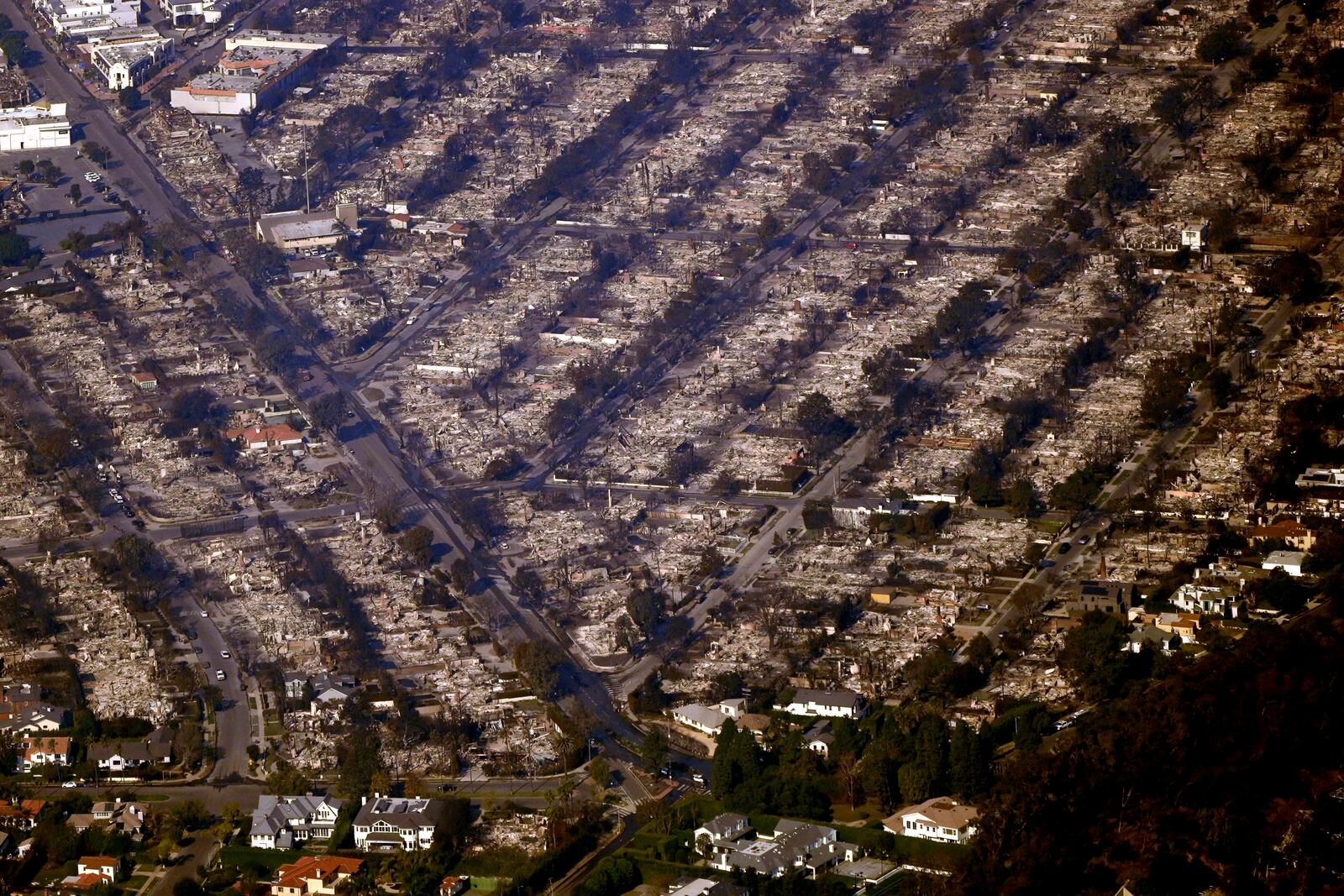 Homes are seen burned while a few still stand, Thursday, Jan. 9, 2025, in the Pacific Palisades section of Los Angeles. (AP Photo/Mark J. Terrill)