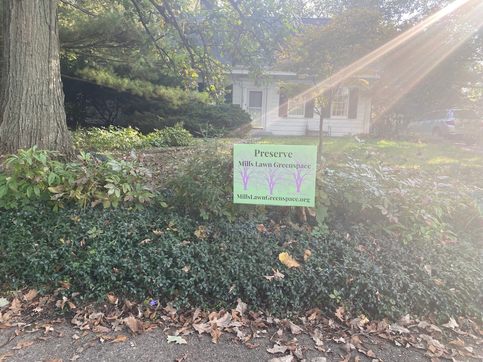 People across Yellow Springs have yard signs in their yards that read, "Preserve Mills Lawn greenspace," referring to the trees and land behind Mills Lawn Elementary School in the village. The controversy over what to do with the small green area behind Mills Lawn Elementary School has affected people across Yellow Springs. Eileen McClory / staff