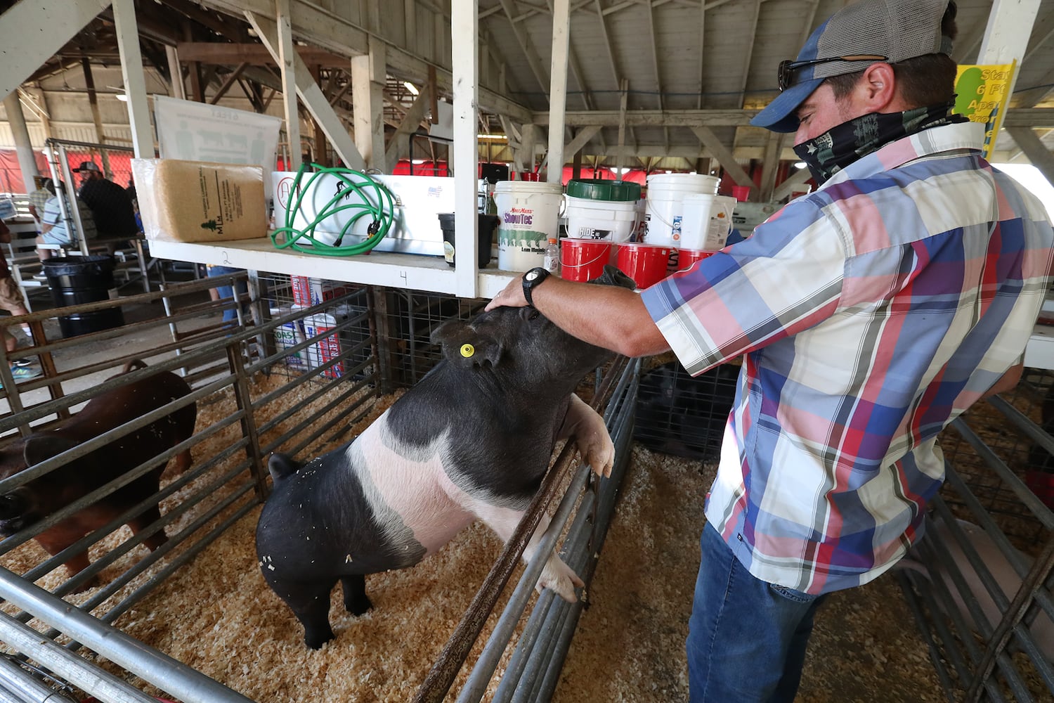 Clark County Fair