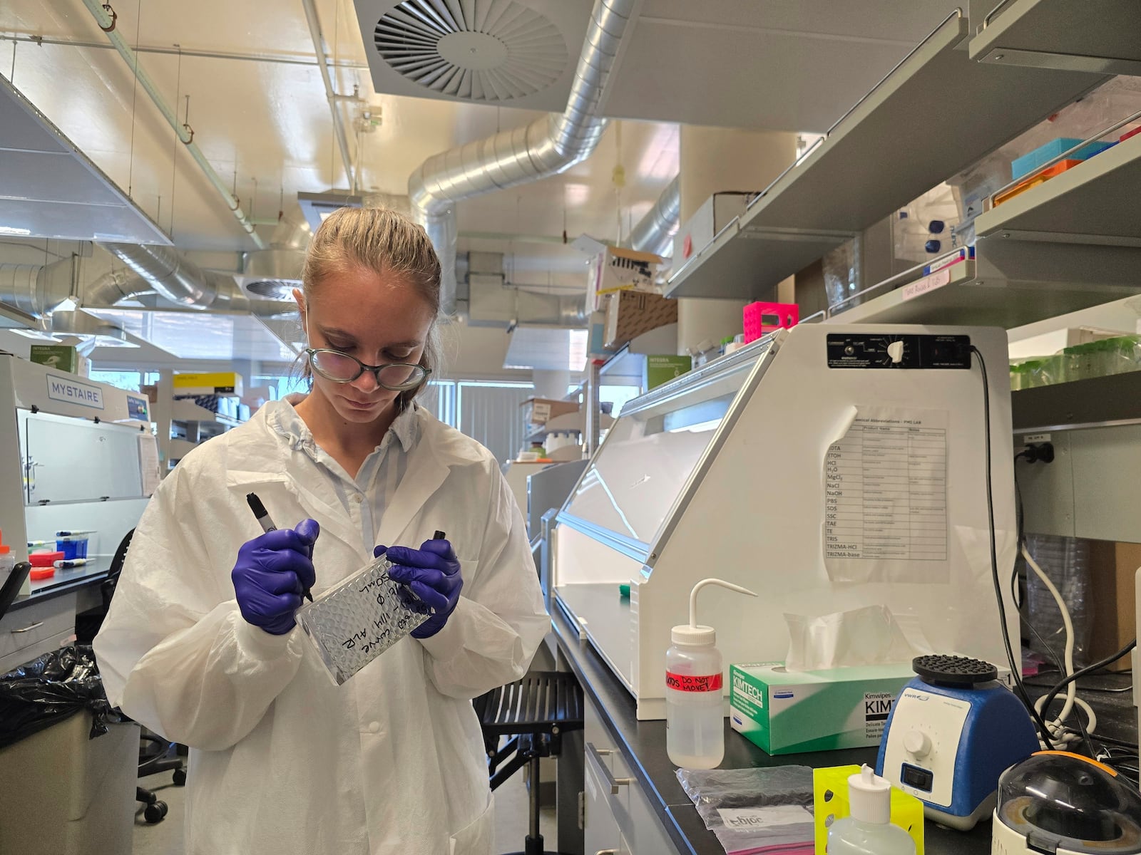 Anna Riley, a microbiology major, labels vials in a lab at Northern Arizona University in Flagstaff, Ariz., Friday, Jan. 31, 2025. (AP Photo/Felicia Fonseca)