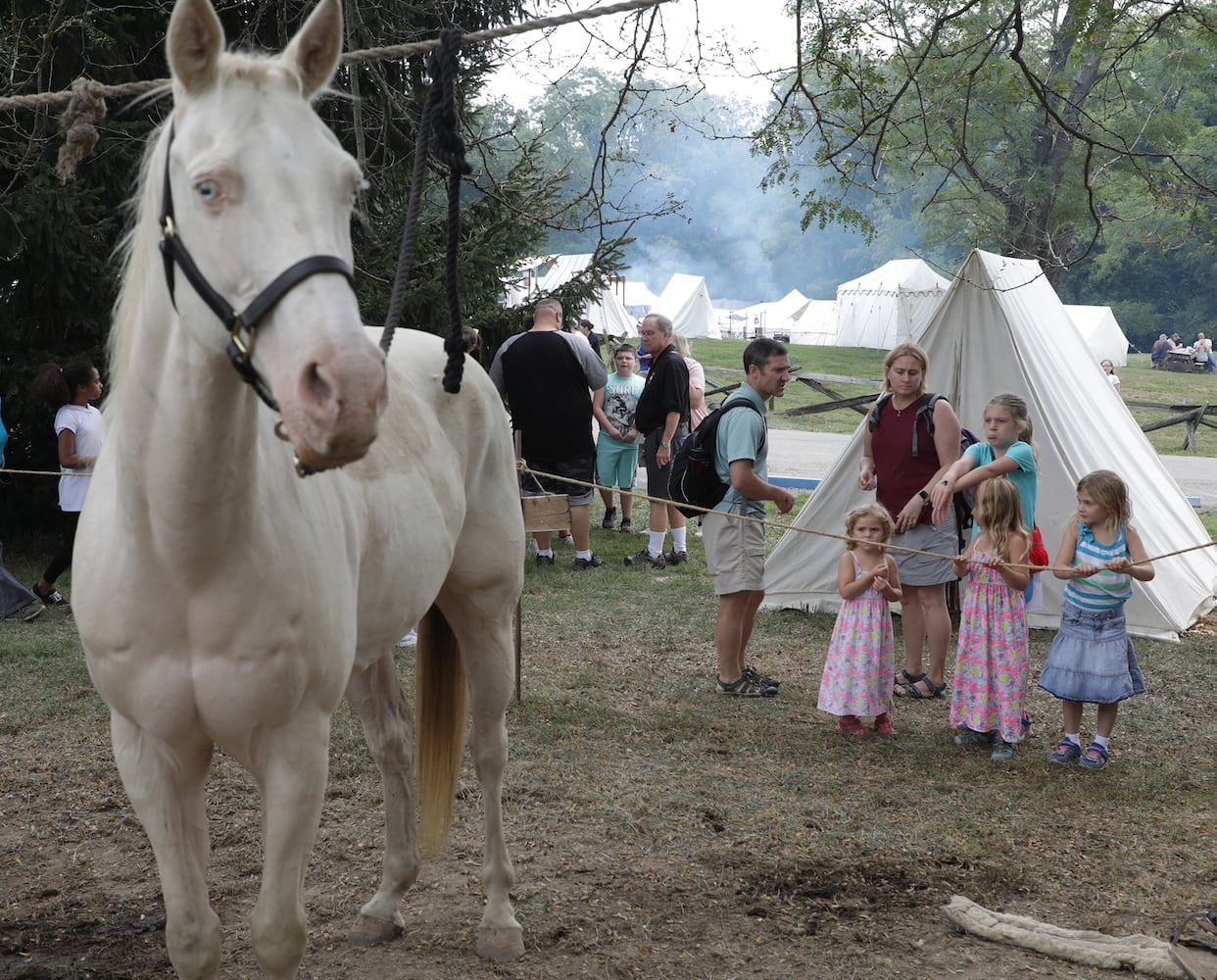 PHOTOS: 2019 The Fair at New Boston