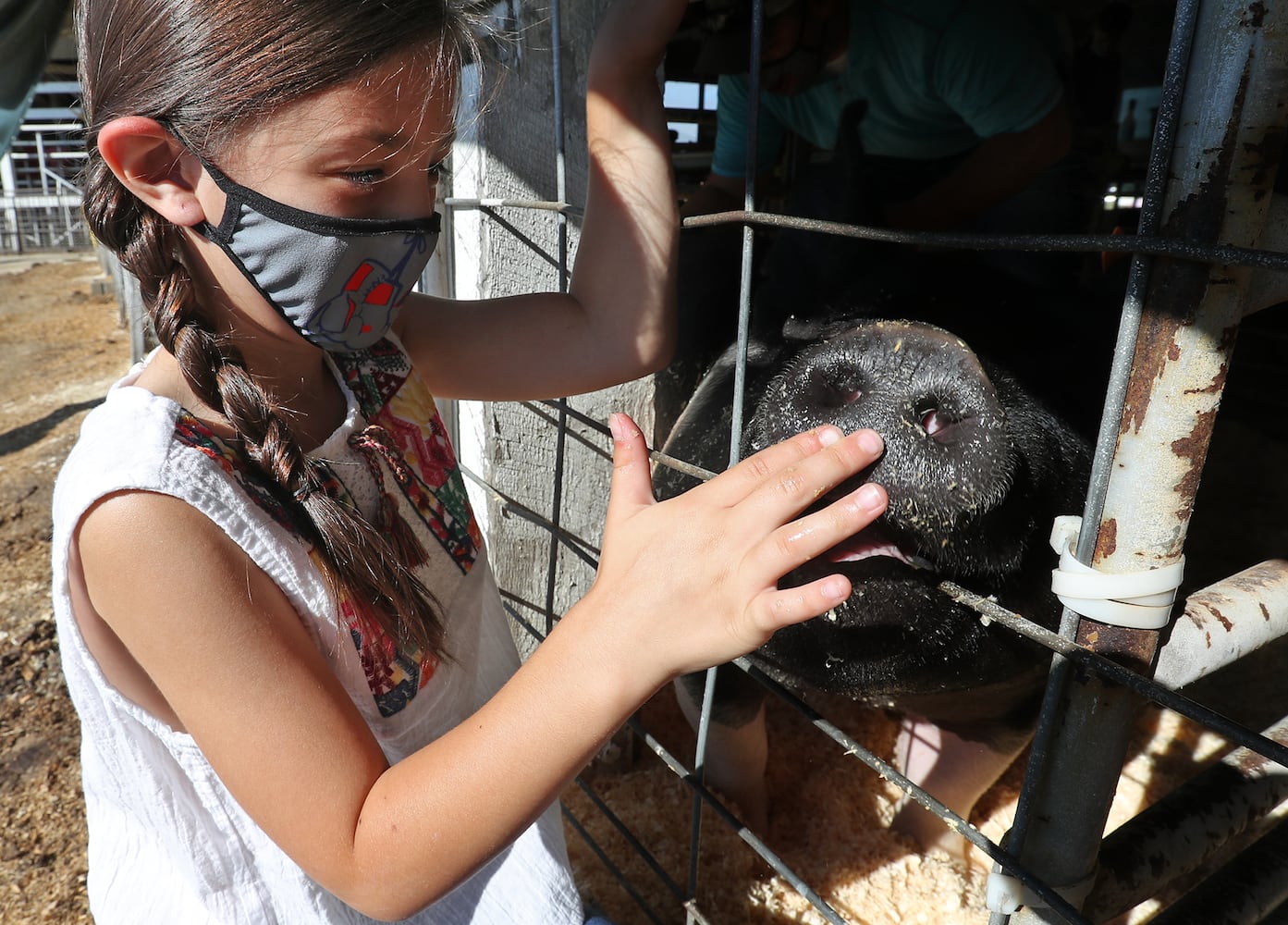 Clark County Fair