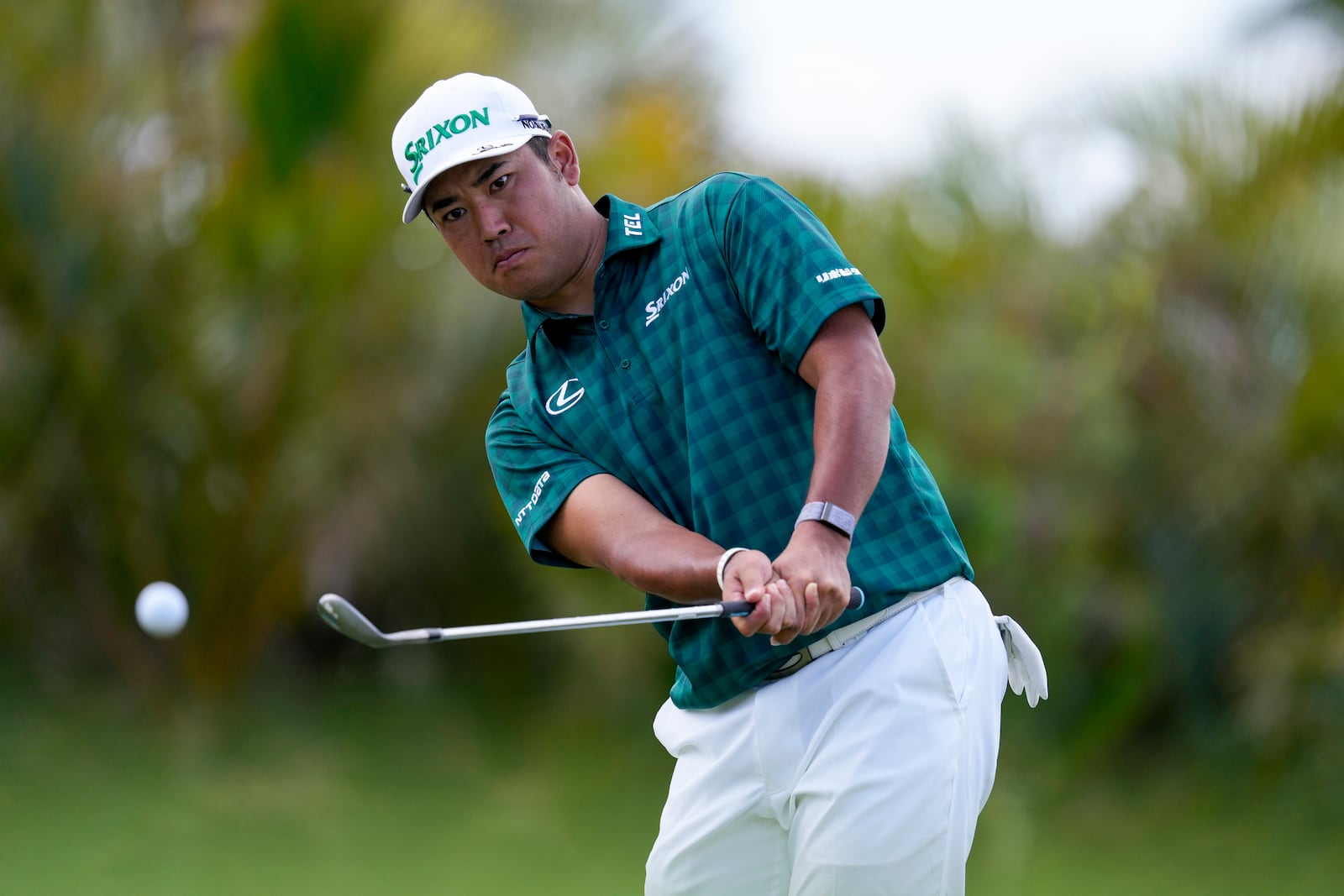 Hideki Matsuyama, of Japan, chips onto the 14th green during the third round of The Sentry golf event, Saturday, Jan. 4, 2025, at Kapalua Plantation Course in Kapalua, Hawaii. (AP Photo/Matt York)