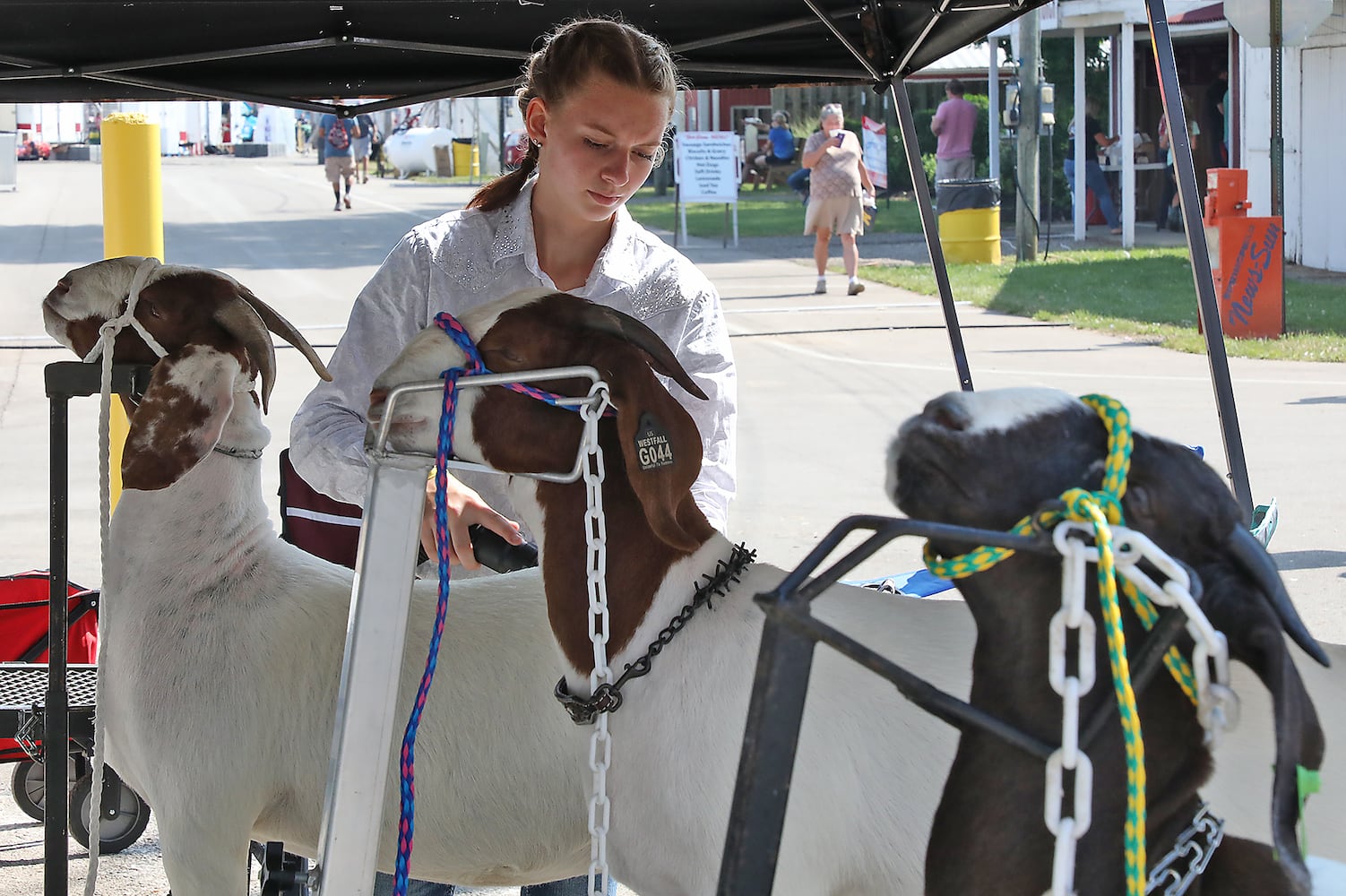 2018 Clark County Fair Day 5