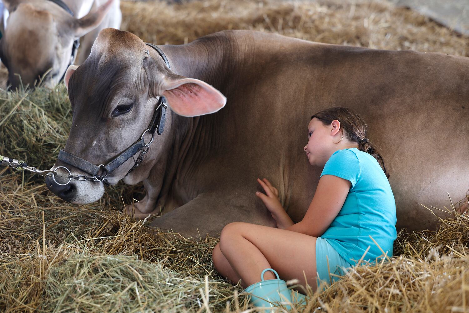 Clark County Fair SNS