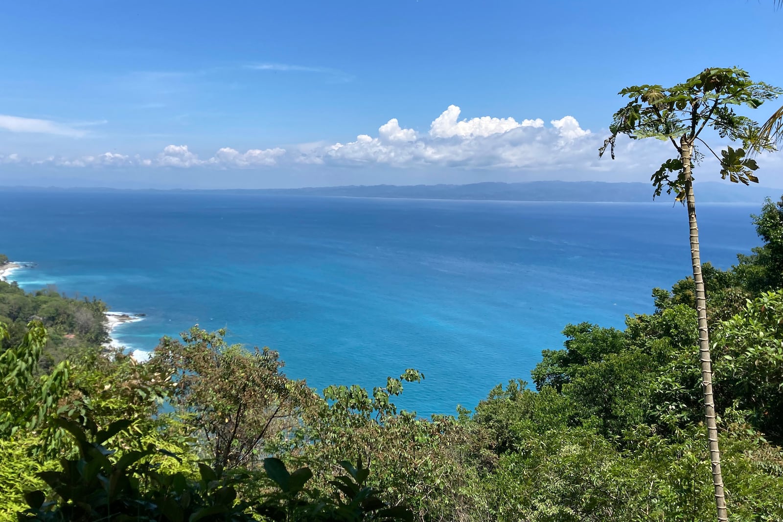 FILE - The view of Golfo Dulce and the Pacific Ocean is seen from a rainforest on the Osa Peninsula near Cabo Matapalo, Costa Rica, on March 20, 2023. (AP Photo/Matt O'Brien, File)