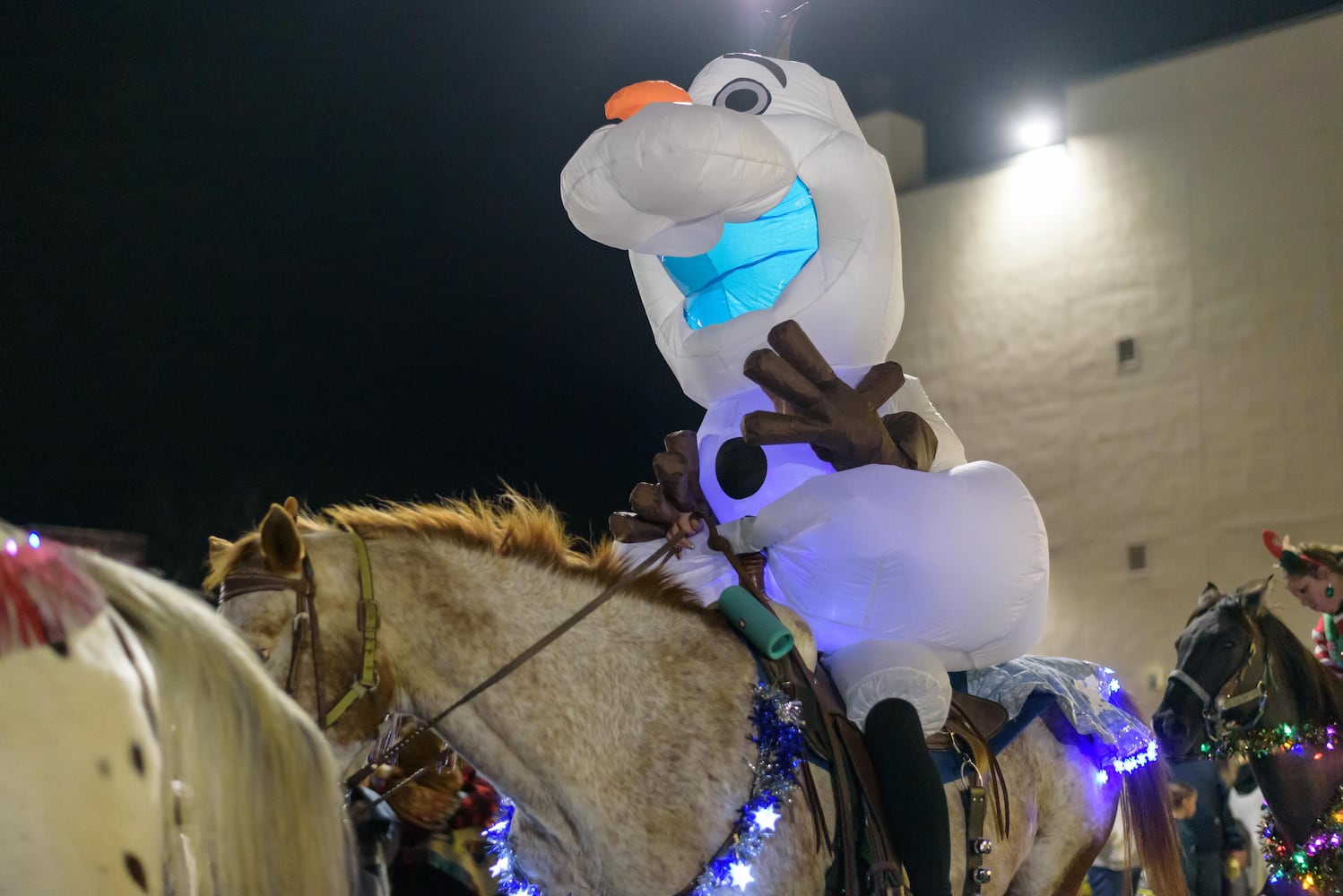 PHOTOS: 2024 Downtown Piqua Holiday Horse Parade