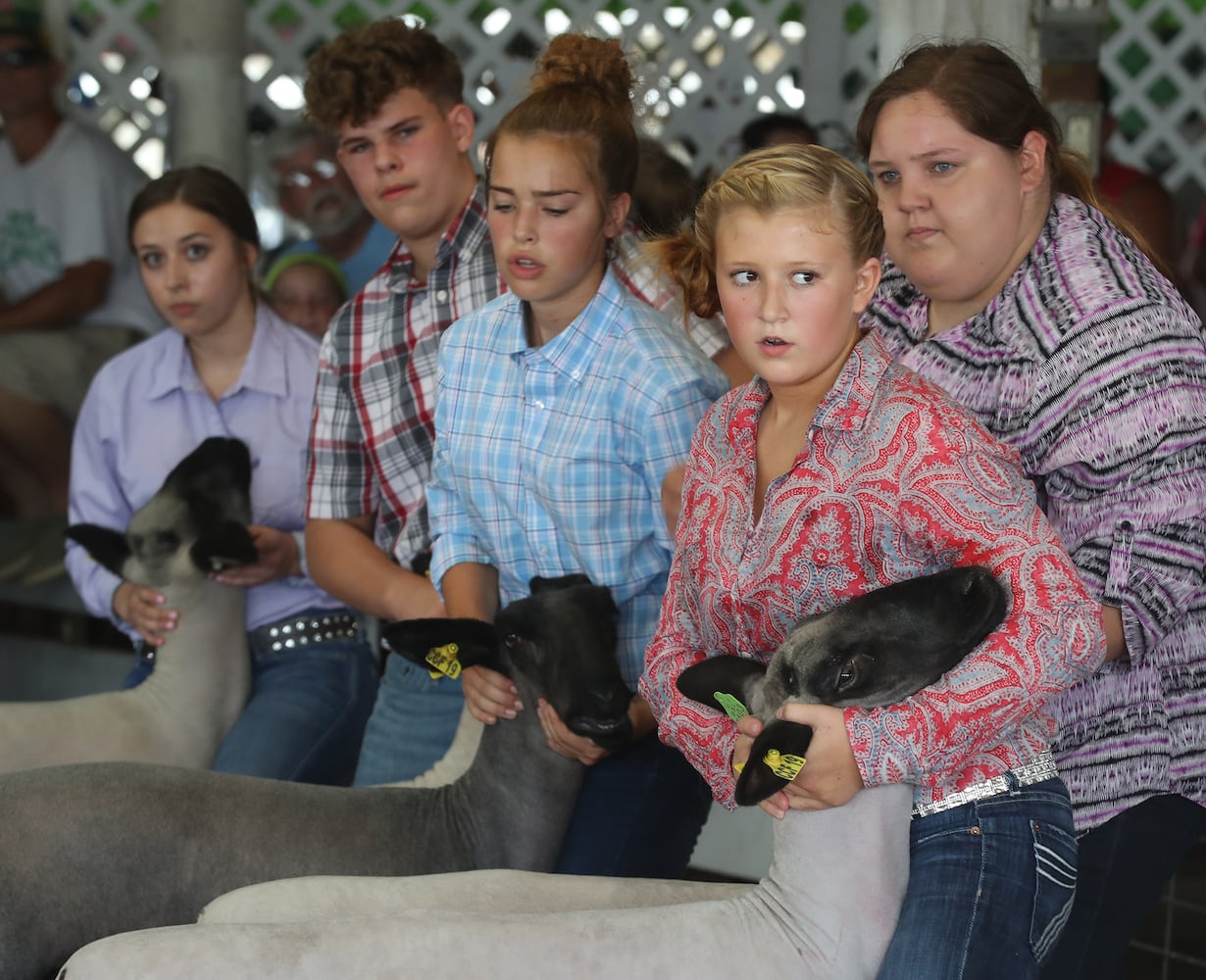 85 PHOTOS: 2019 Clark County Fair