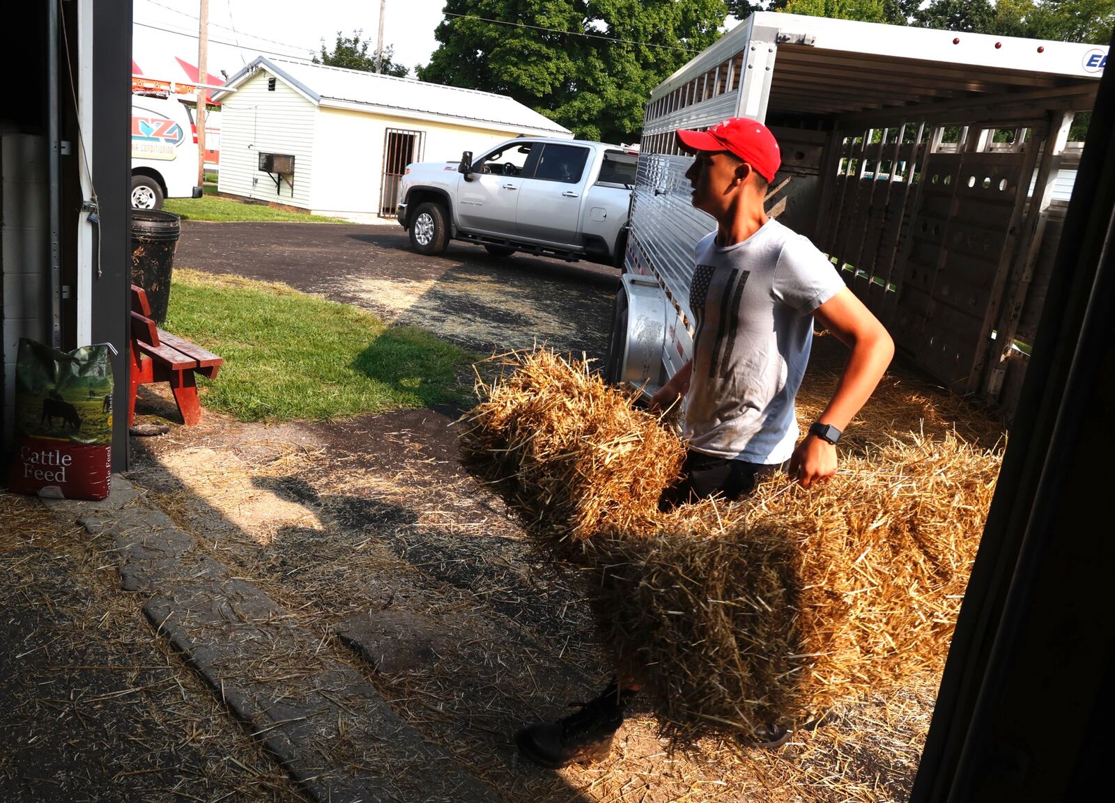 Cooper Hudson Love, 14, unloads bales of hay in a barn at the Champaign County Fair Grounds Wednesday, August 2, 2023. Cooper was getting ready to bring his dairy steers out to the fair. BILL LACKEY/STAFF