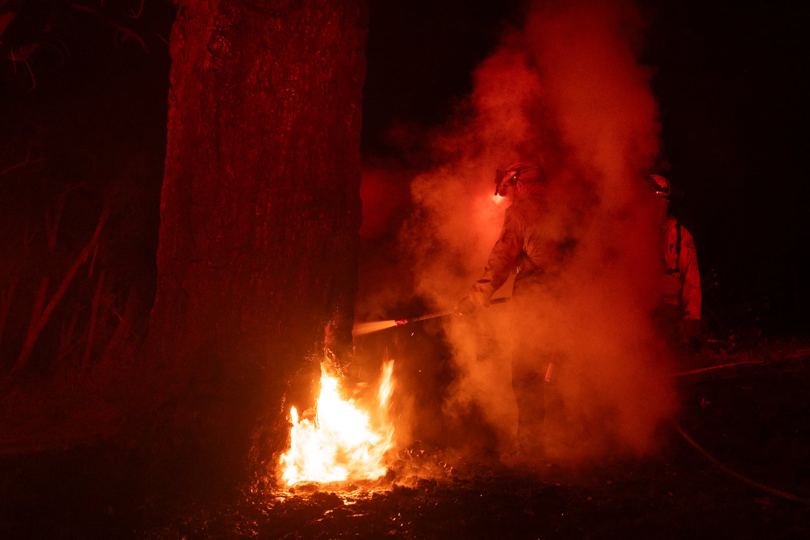 Firefighters put out a fire burning inside a tree after the Eaton Fire burned through the mountains of the Angeles National Forest near Mount Wilson Observatory north of Pasadena, Thursday, Jan. 9, 2025.(AP Photo/Etienne Laurent)