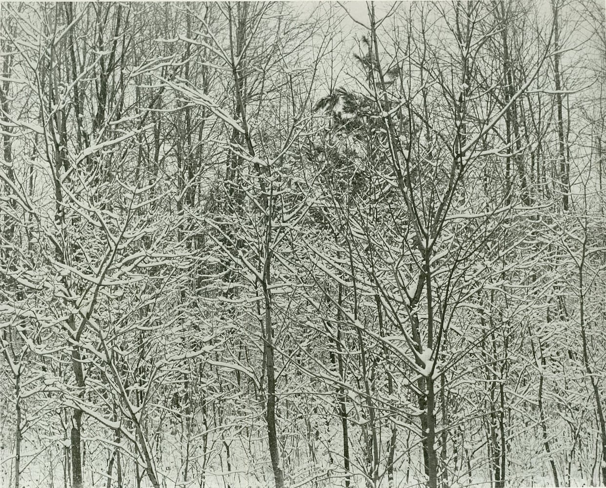 Blizzard of 1978 in Springfield and Clark County