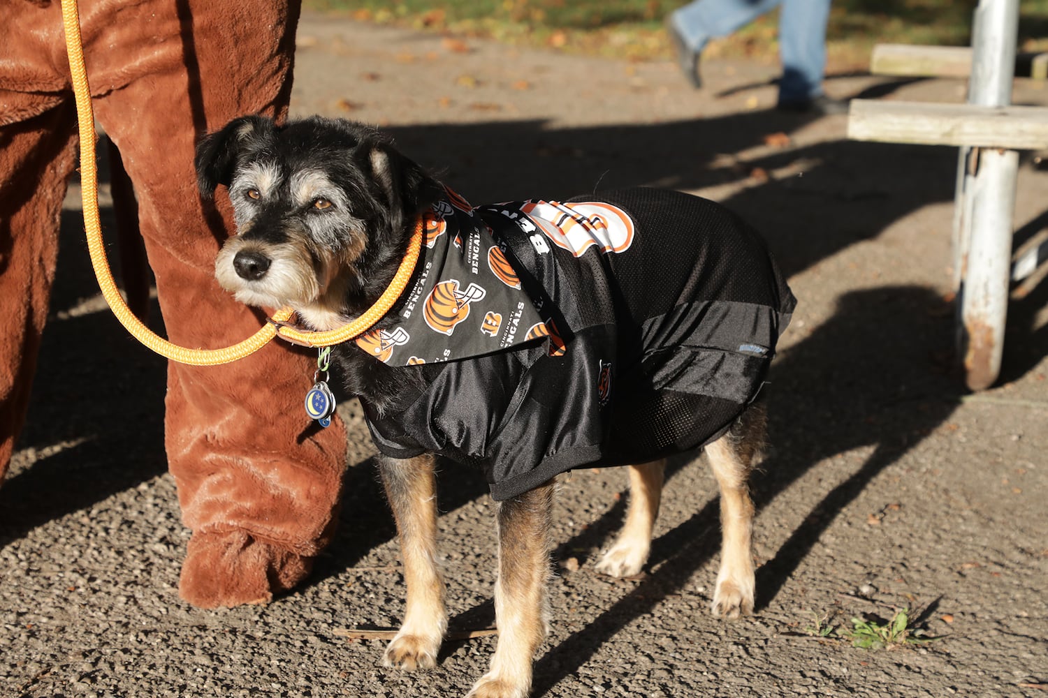 PHOTOS:  Yappy Howl-O-Ween