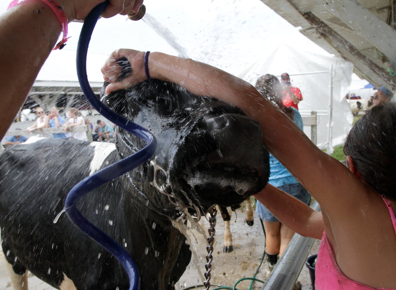 Clark County Fair