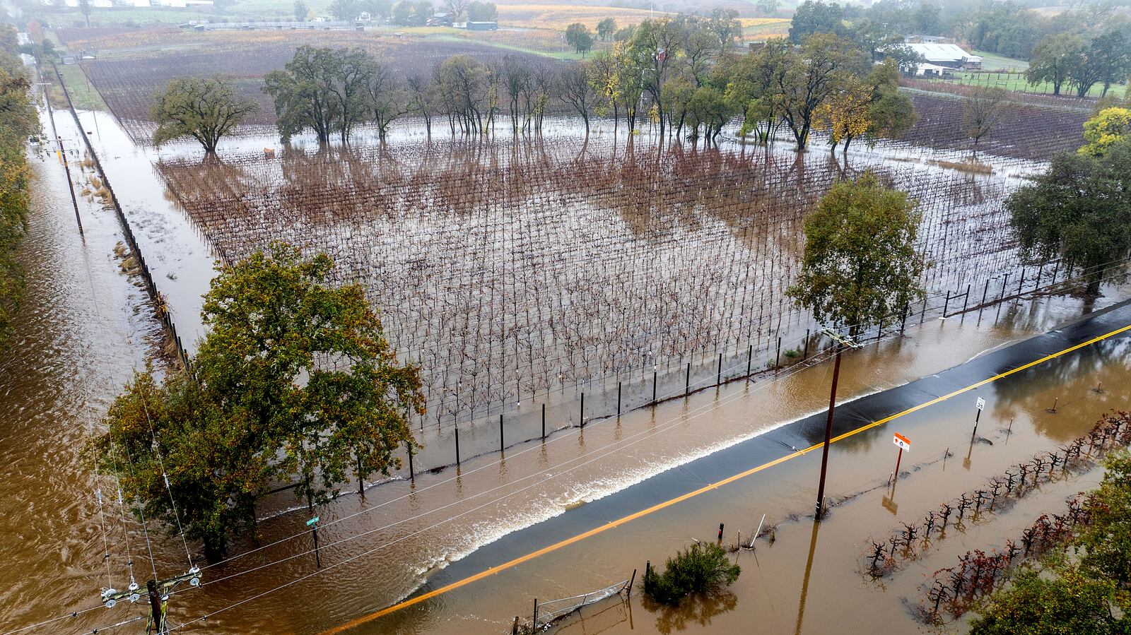 Flood water covers a vineyard along Windsor Road as heavy rains continue in Windsor, Calif., Friday, Nov. 22, 2024. (AP Photo/Noah Berger)