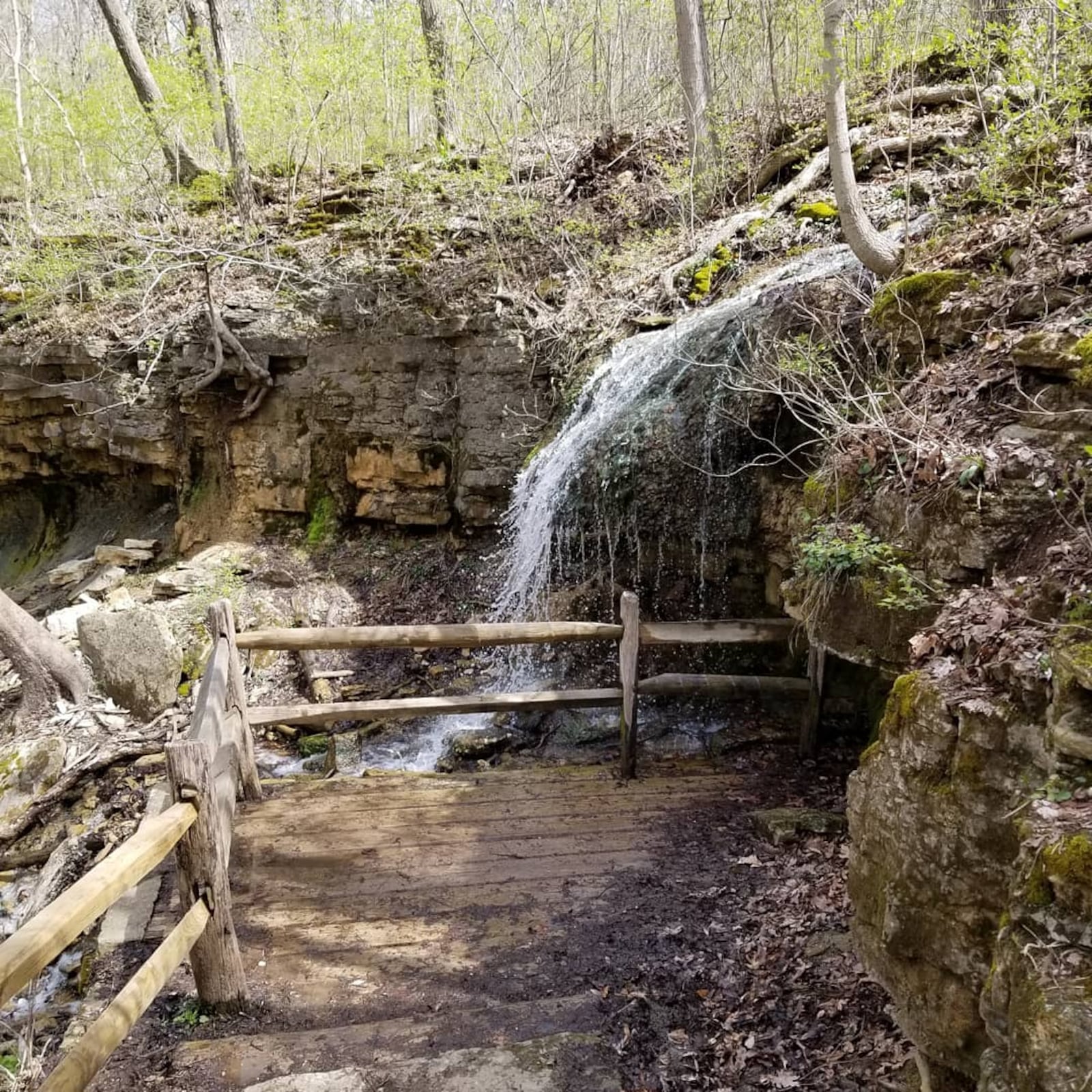 The Five Rivers MetroParks offers great views this time of year of wild flowers blooming, wildlife and flowing creeks. PHOTOS BY ANDREA GILLETTE