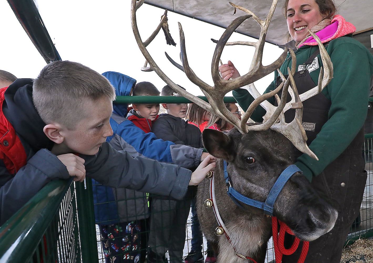 PHOTOS: Reindeers Visit South Vienna School