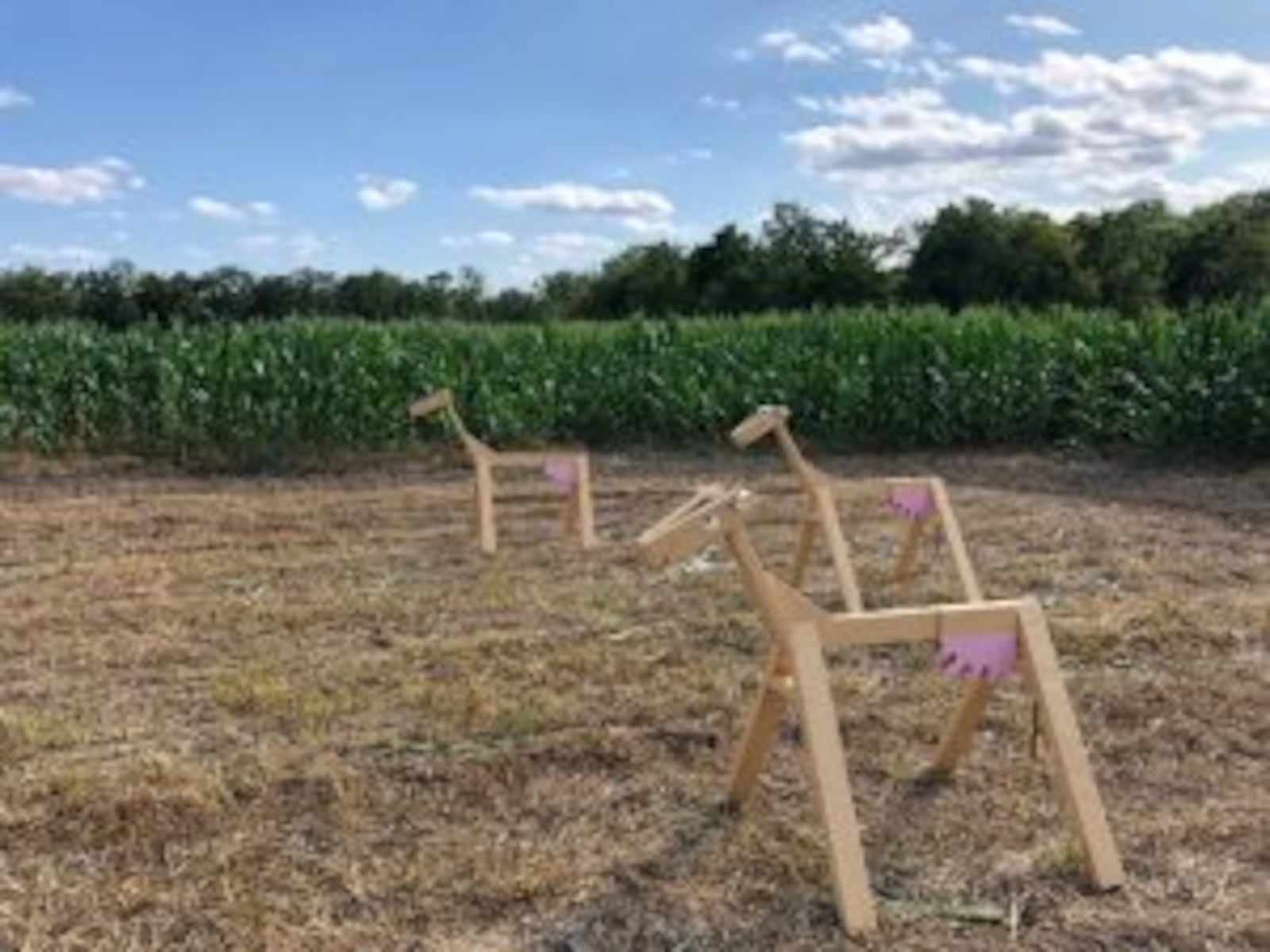 Extreme weather caused Young’s Jersey Dairy to transform its annual corn maze into a new outdoor play area.