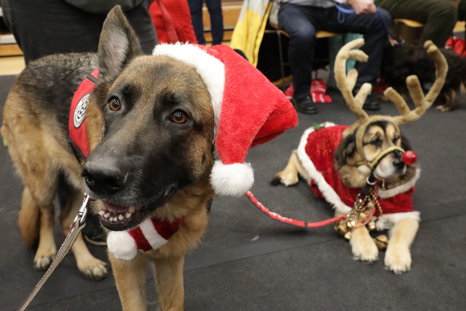 PHOTOS: Rotary Club's Christmas Party for Disabled Children