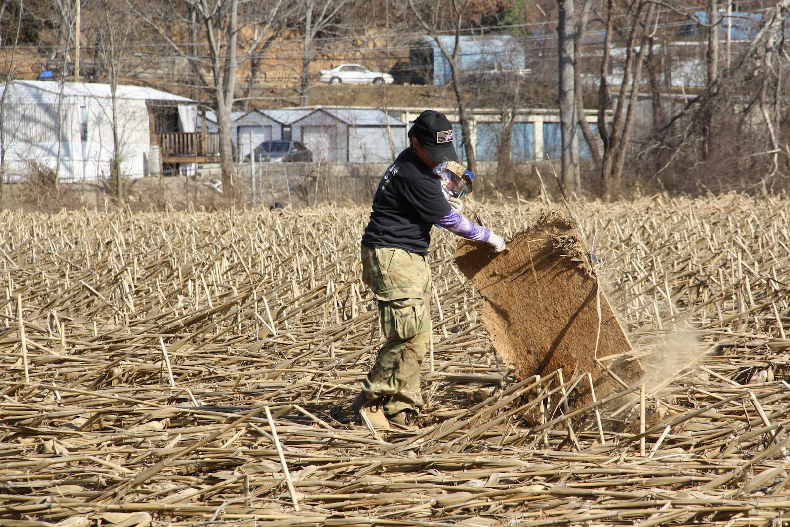 Jill Holtz picks up a wooden slab to look under in a cornfield in Swannanoa, N.C., on Thursday, Feb. 6, 2025. (AP Photo/Makiya Seminera)