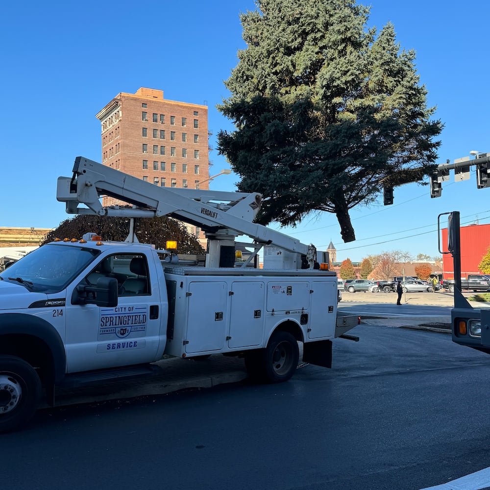 Holiday in the City Tree Arrival