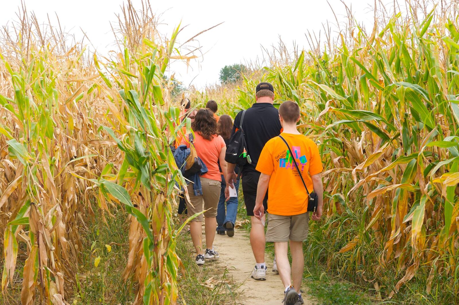 Tasty treats await you at the end of Cowvin's Corny Maze.