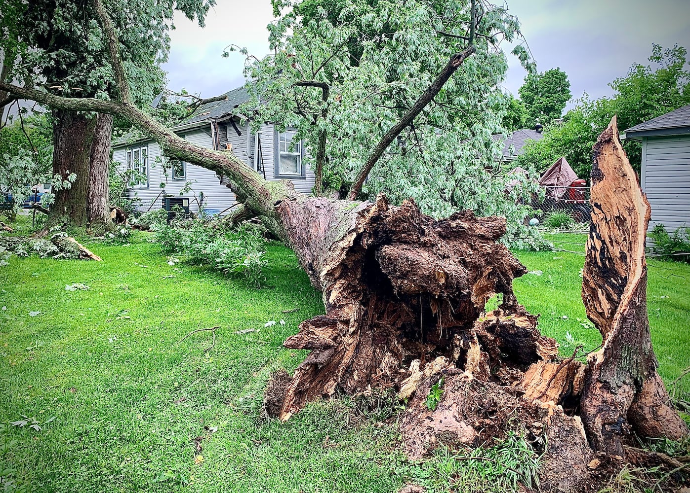 Springfield storm damage