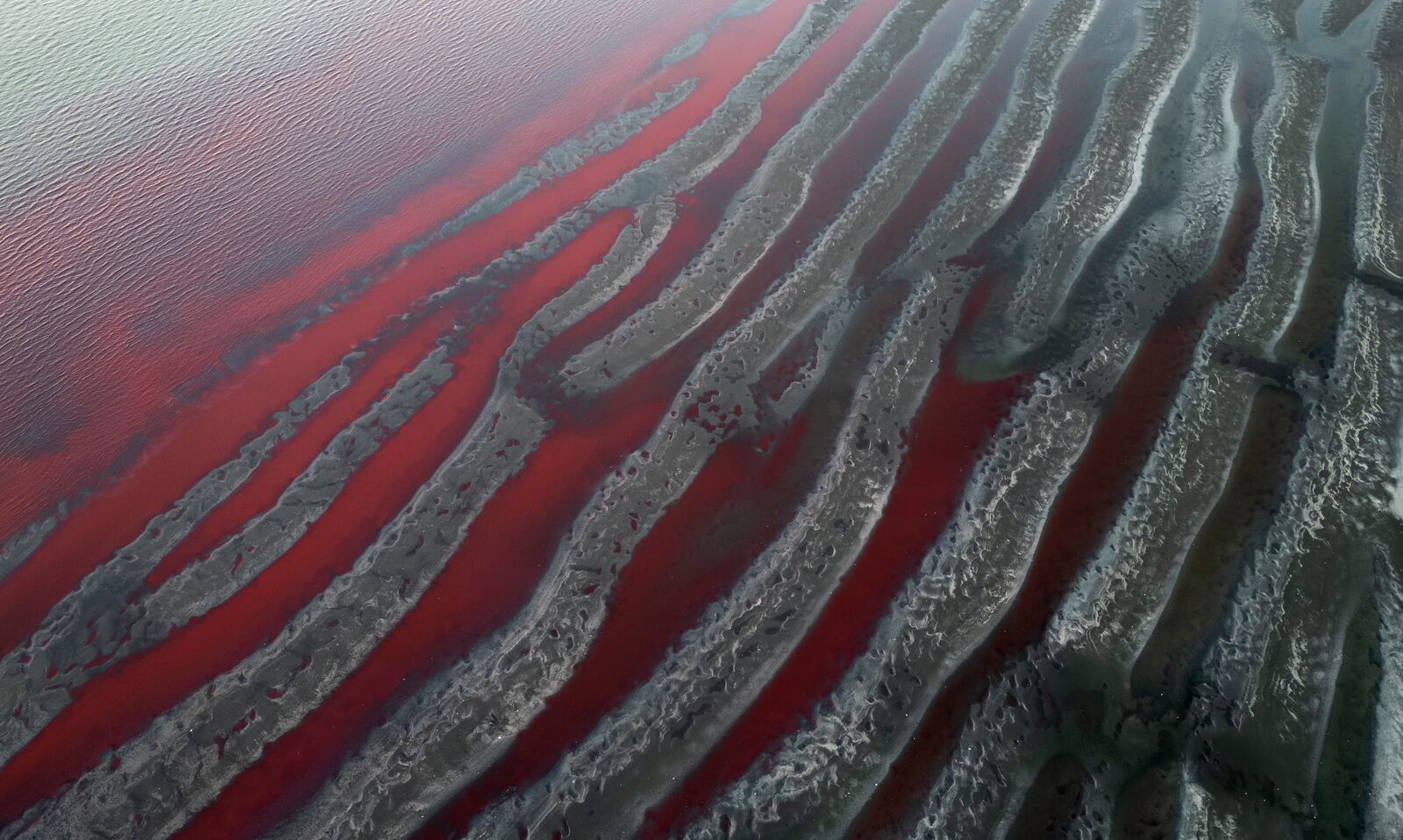 An aerial view of the "Sarandi" stream dyed red due to unknown contaminants allege residents, in an industrial neighborhood on the outskirts of Buenos Aires, Argentina, Thursday, Feb. 6, 2025. (AP Photo/Rodrigo Abd)