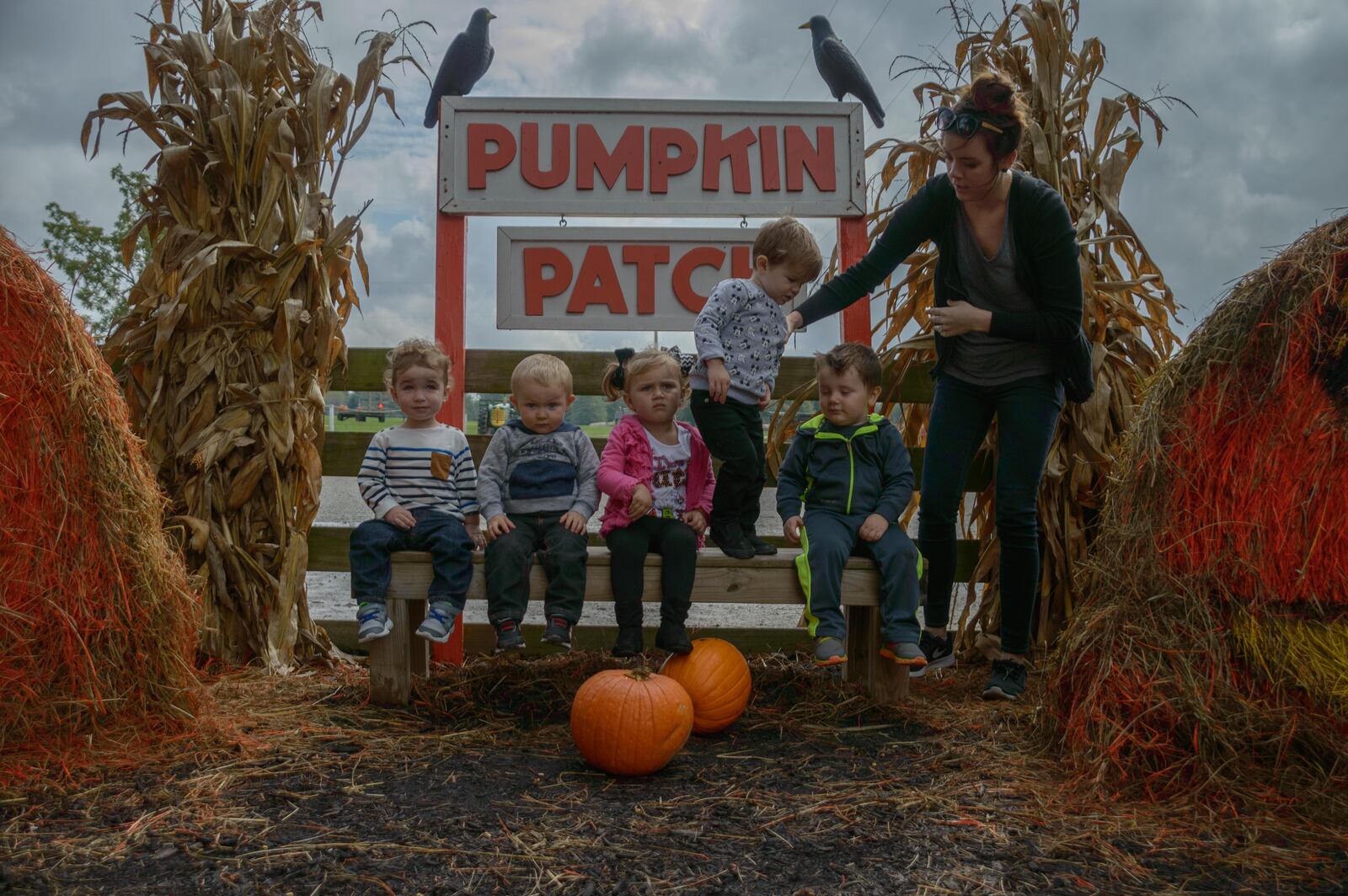 This favorite family festival was held at Young's Jersey Dairy on Oct. 1-2, 2016 in Yellow Springs, Ohio.