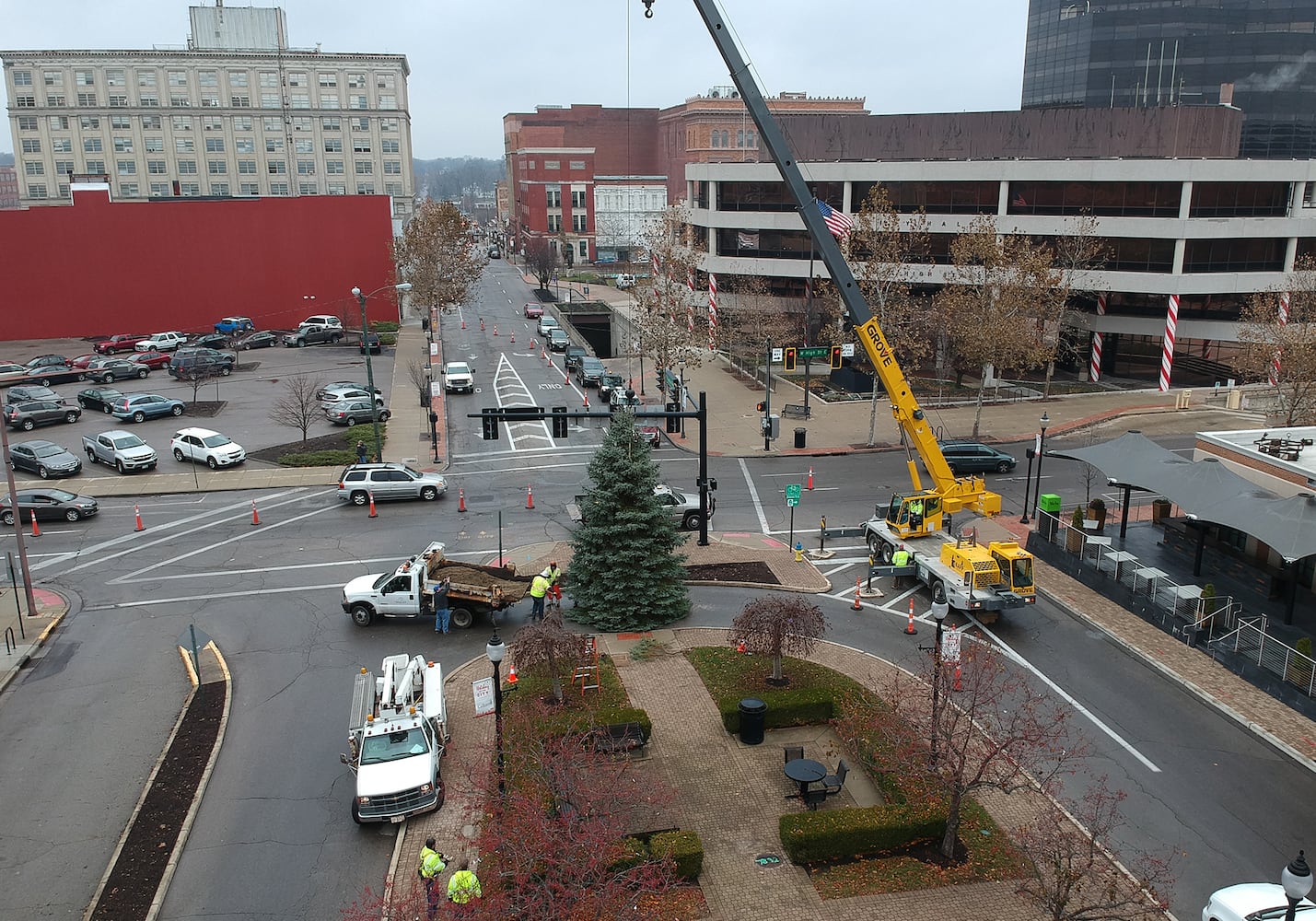 Springfield Gets Holiday Tree