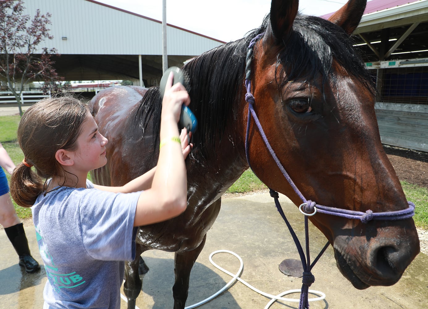 85 PHOTOS: 2019 Clark County Fair