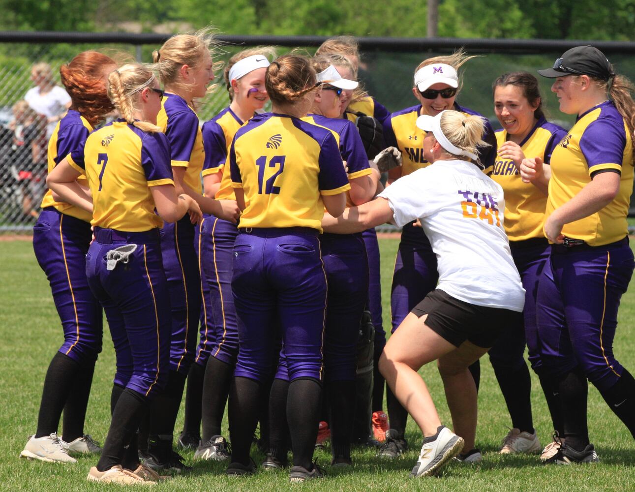 Photos: Mechanicsburg beats Minster in D-IV softball regional final