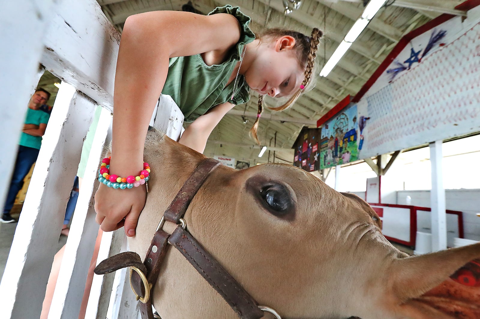 Kamilla Seaman, 6, makes a new friend as she scratches a dairy calf's chin Friday while she and her family were walking through one of the barns. BILL LACKEY/STAFF